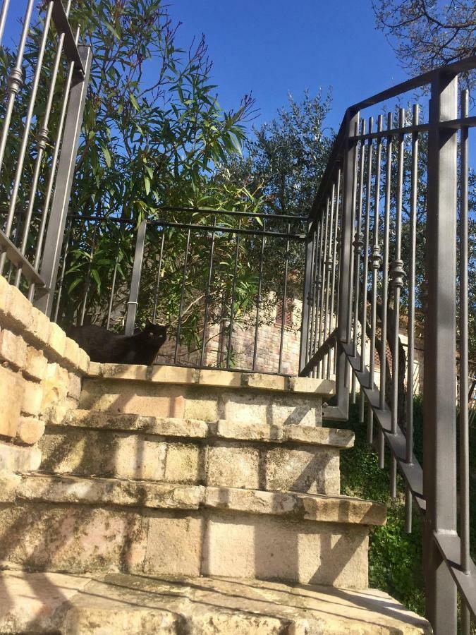 Lavanda E Rosmarino Home Assisi Kültér fotó
