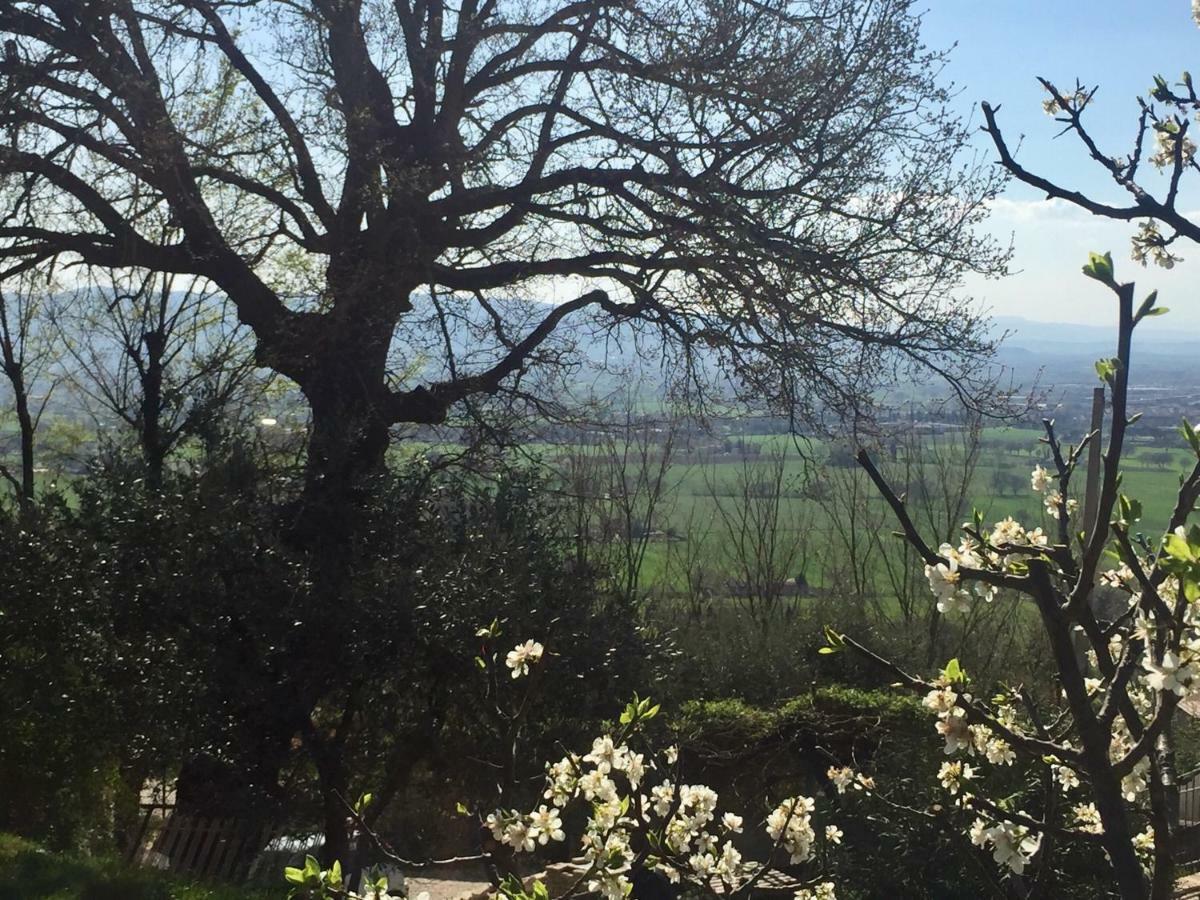Lavanda E Rosmarino Home Assisi Kültér fotó