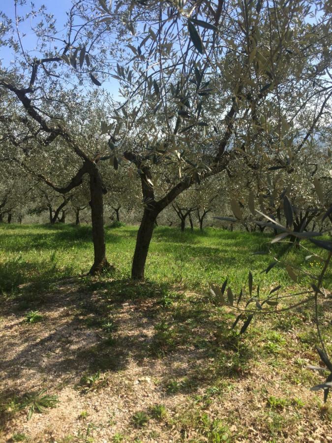 Lavanda E Rosmarino Home Assisi Kültér fotó